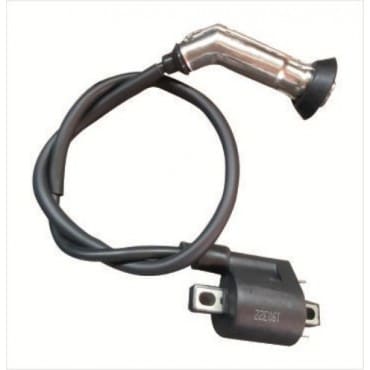 Arora AR50-6 Capirossi Ateşleme Bobini Euro 3